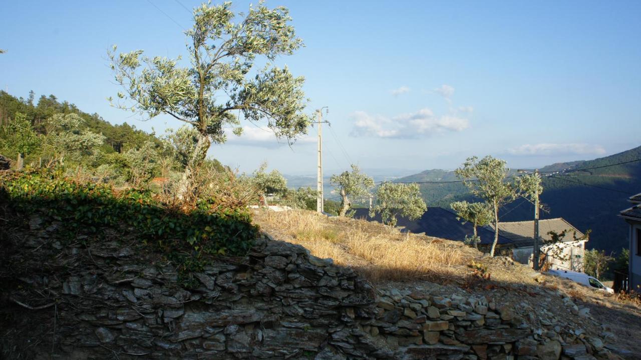 Вилла "Casa Do Avo Armindo" Mountain Experience Вила-Реал Экстерьер фото